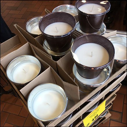 Citronella Merchandising By The Bucket
