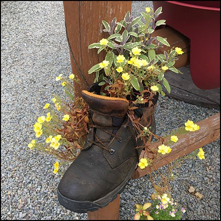 Garden Center Store Fixtures - Wolverine Hiking Boot Planter Props
