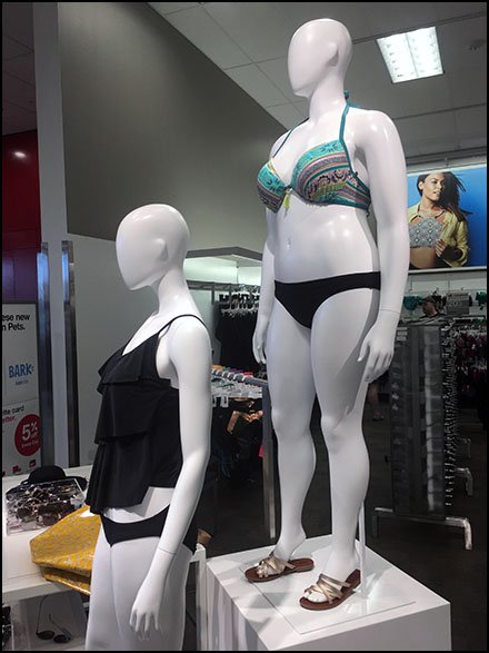 Bathing Suit Body Type Definition