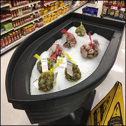 Mussel and Clam Merchandising Display Fixtures