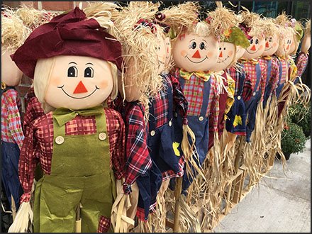 Display Dividers for Scarecrow Merchandising – Fixtures Close Up