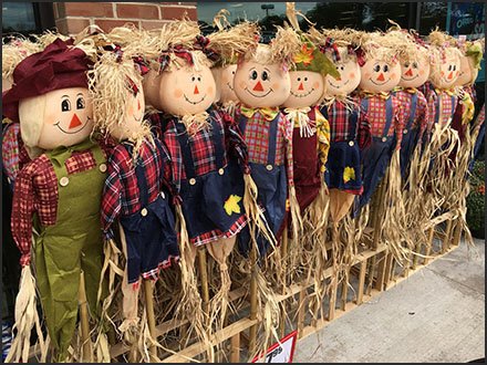 Display Dividers for Scarecrow Merchandising – Fixtures Close Up