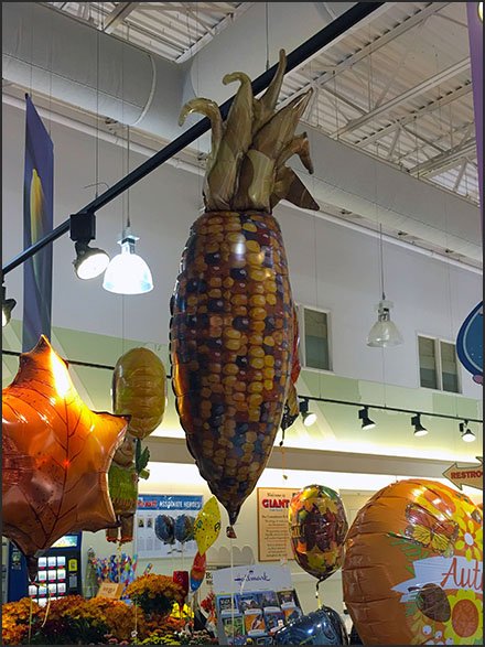 Fall Ear of Corn Inflatable 2