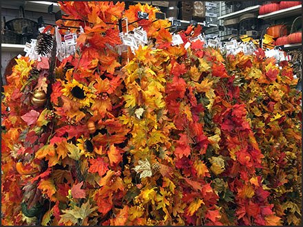 Indoor Fall Foliage Display By Scan Hook