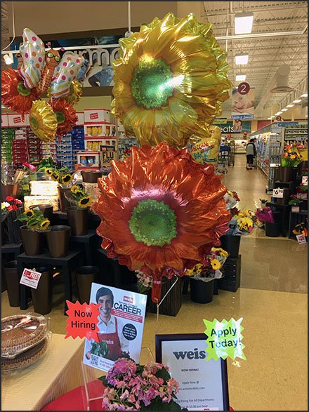 Inflatable Offers High Flying Career Opportunities