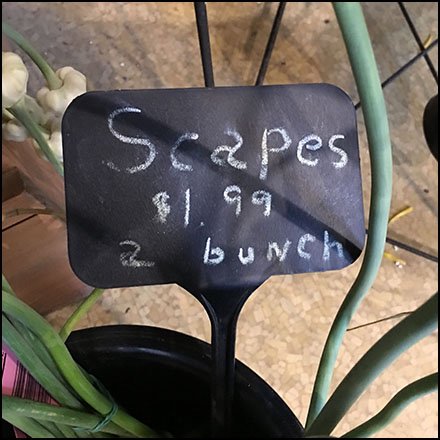 Scapes For Sale Sign At The Farm Store