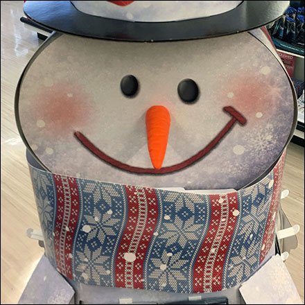 RiteAid Snowman Gift Card Display Feature