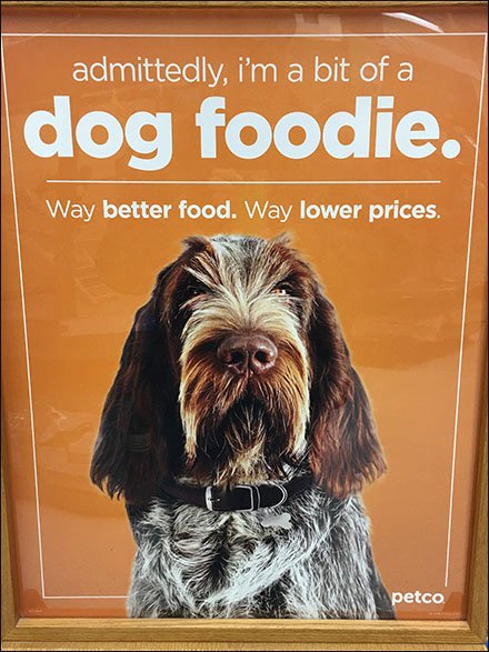 Dog Foodie Advertising In-Store