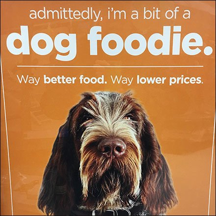 Foodie Advertising In-Store For Pets Feature