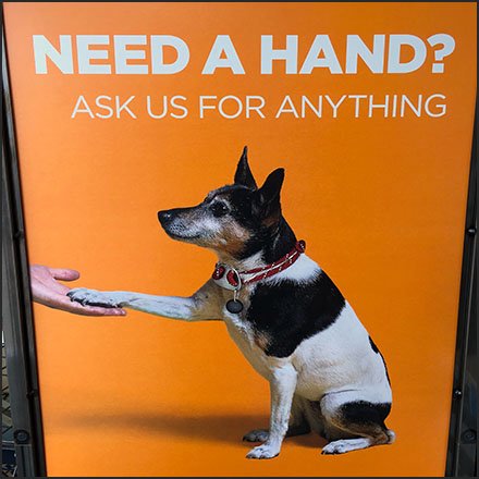 Pet-Friendly Need A Hand Store Entry Sign