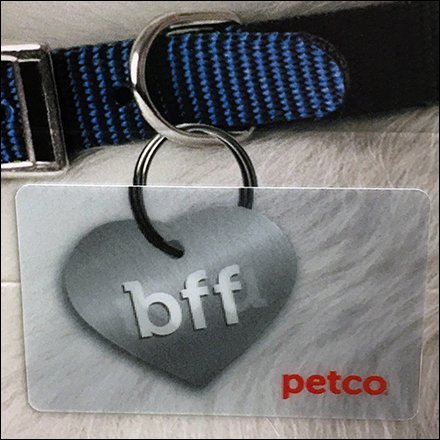 Gift Card Shopping For Pets At Petco