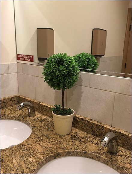 Restroom Topiary Improves Facility Image
