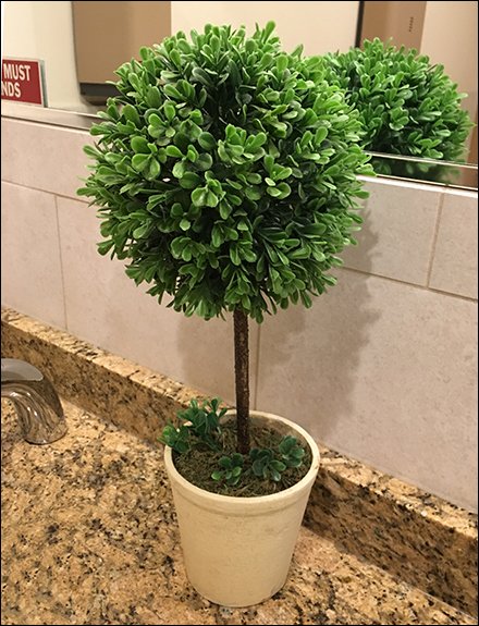 Restroom Topiary Improves Facility Image