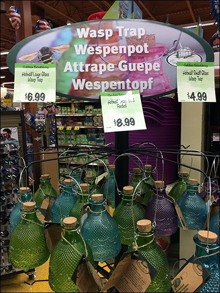 Planet-Friendly Wasp Trap Insect Control