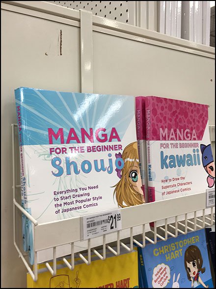 EndCap Hanging Book Rack For Manga Art
