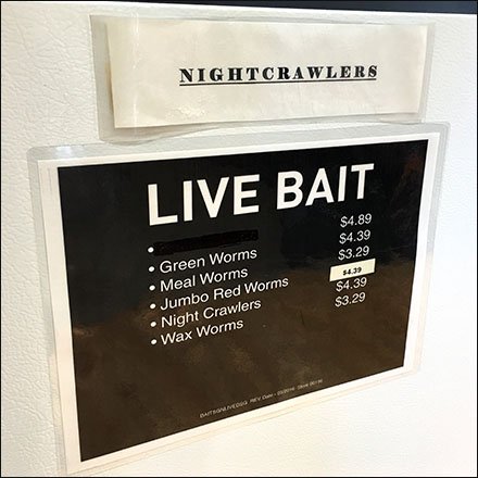 Refrigerated Live Bait In-Store Sales Feature2