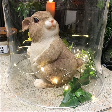 Bunny Bell Jar Visual Merchandising Feature2