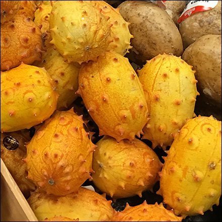 Exploring Exotic Unknown Fruit Feature