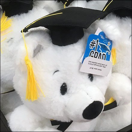 Graduating Teddy Bear Class Plush Display