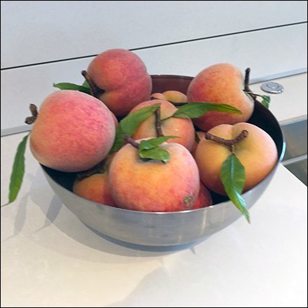 Plump Georgia Peach Showroom Propping