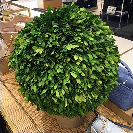 Bloomingdales Table-Top Topiary Purse Accessory