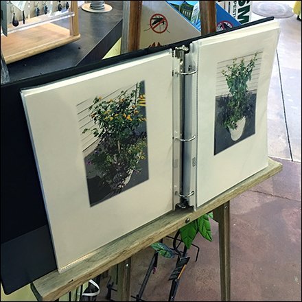 Garden Center Artist Easel Presentation In-Store