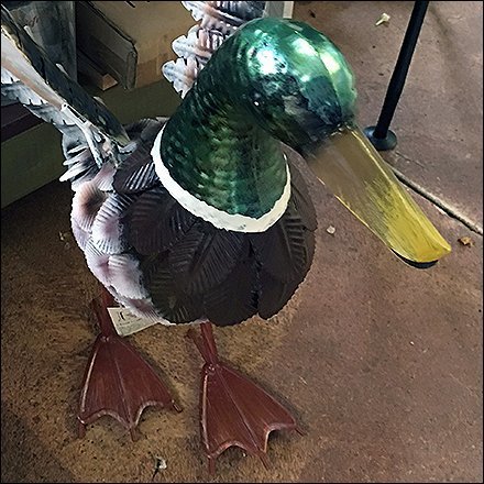 Unflappable Duck Landscaping Centerpiece