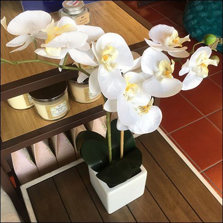 Fresh Orchid Visual Merchandising Prop