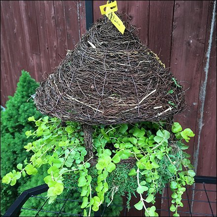 Rustic Thatched Hut Birdhouse Planter Prop