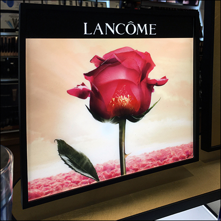 Complete Lancome Countertop Cosmetics Display