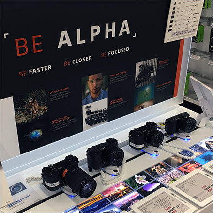 Sony Alpha Mirrorless Camera Display