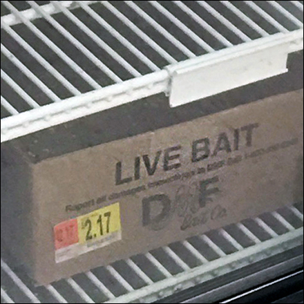 Live-Bait Glass-Door Upright Cooler