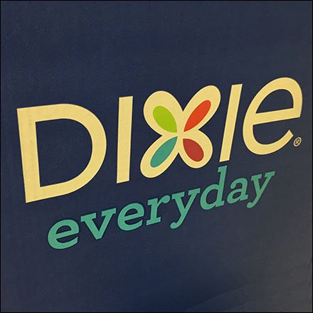 Dixie Everday-Paper-Plates In-Aisle Display