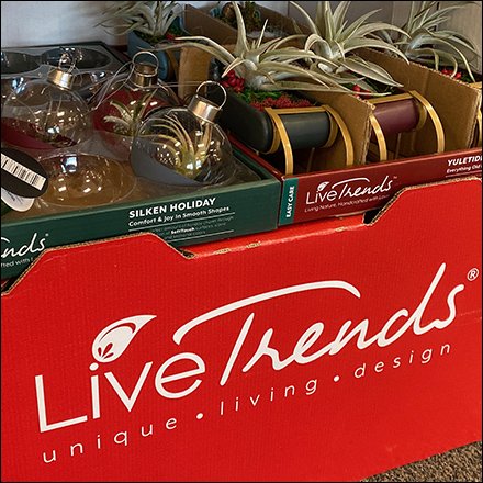 Live-Trends Freestanding Corrugated Display