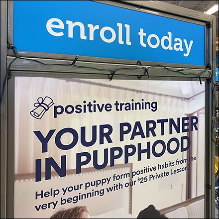 Positive Puppy Training Partner Display
