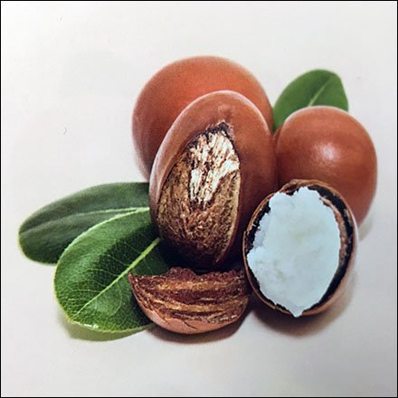 Shea Moisture Ethical Ingredients