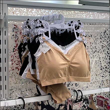 TJMaxx Frilly Bra Decorative Backer