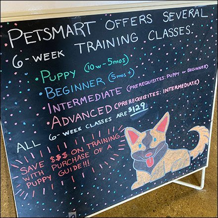 PetSmart Training Class Chalkboard Easel