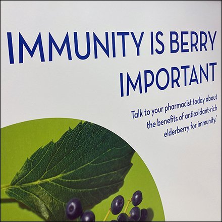 Immunity is Berry Important Poster