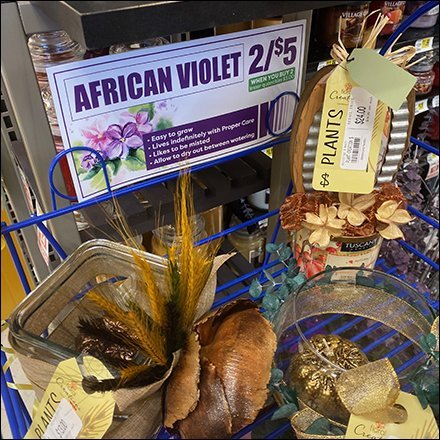 African Violet Wire Rack Display