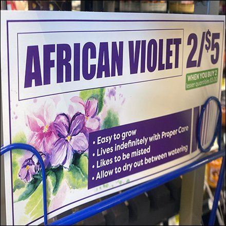 Weis African Violet Wire Rack Display Feature3