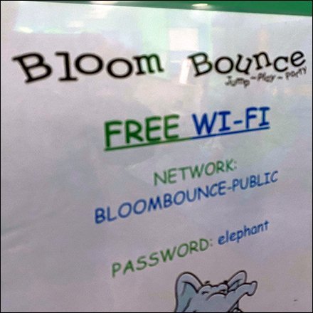Bloom-Bounce WiFi Password is Elephant