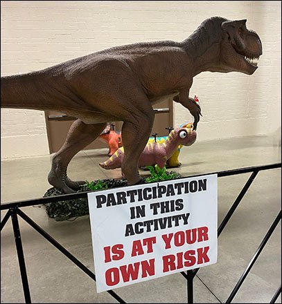 Make A Risky Ride Judgement Call