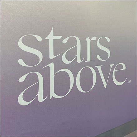 Stars-Above Multi-Way Bra Wear Sidebar