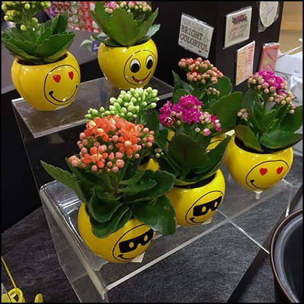 Floral Display Acrylic Riser Miniatures