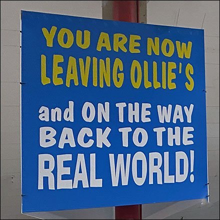 Ollie's Real World Wake-Up Call