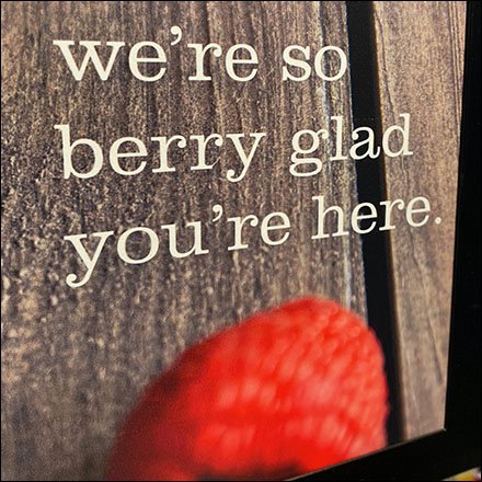 Berry Glad Welcome Literature Rack