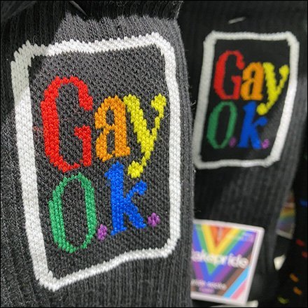 Queer Gay Okay Socks Display