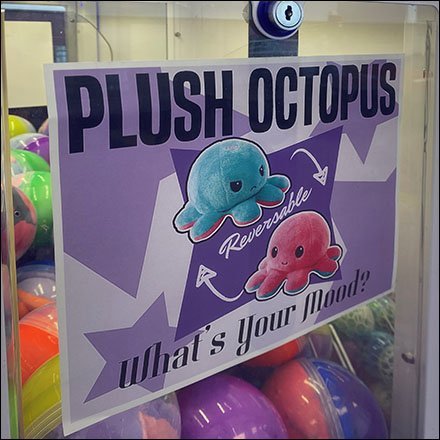 Toy Automat Reversible Plush Octopus Prize