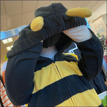 Carter's Bumble Bee Merchandising Display